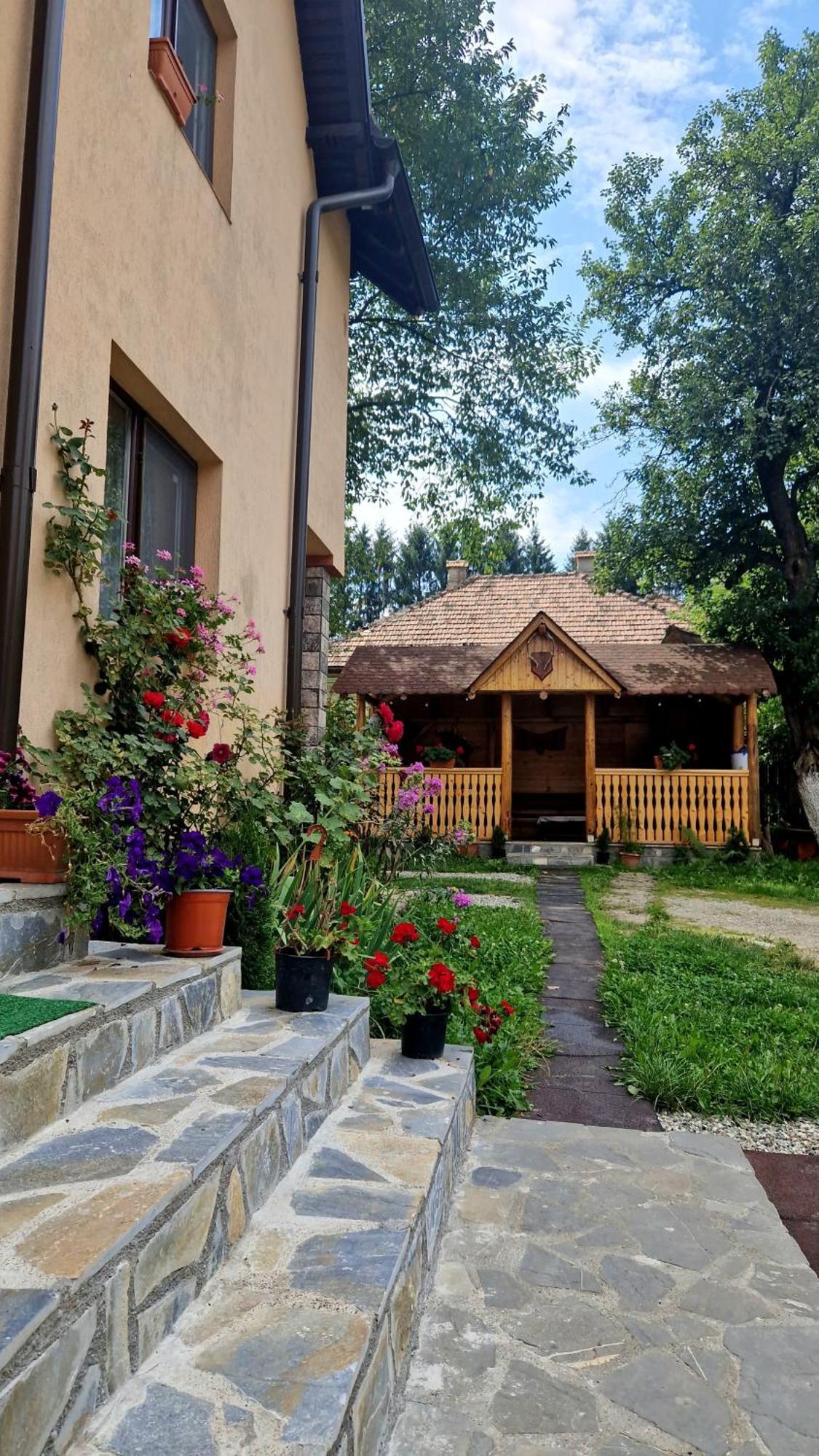 Villa Casa Dorina Bran  Exterior foto